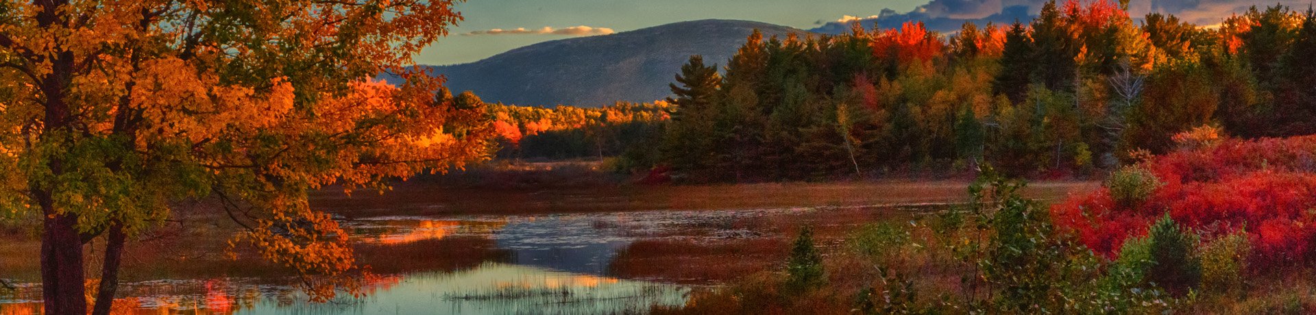 Acadia National Park