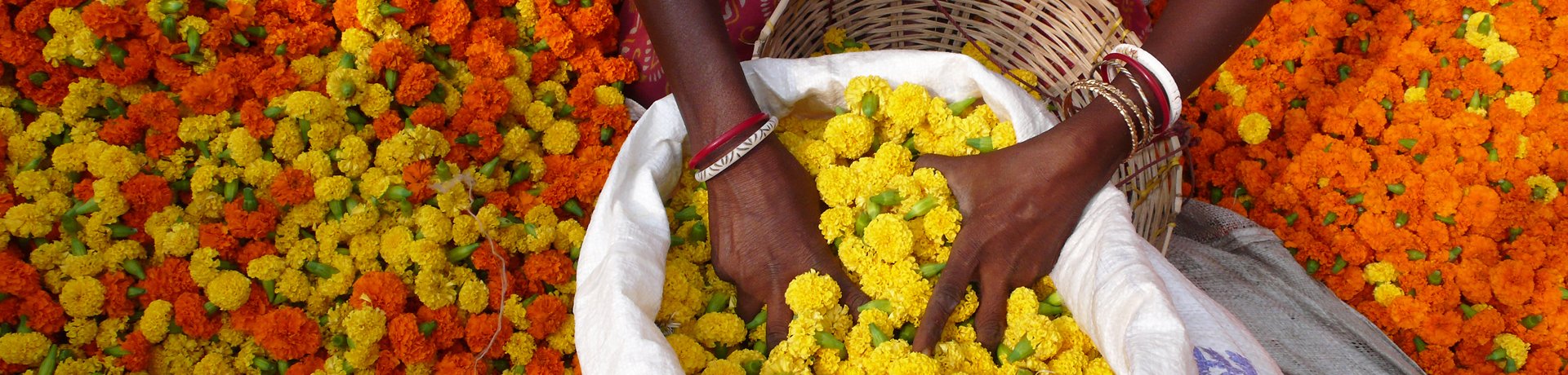 Kolkata Flower Market