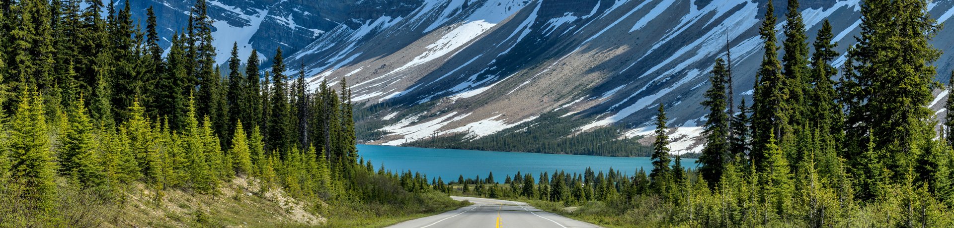 Icefields Parkway, Bow Lake