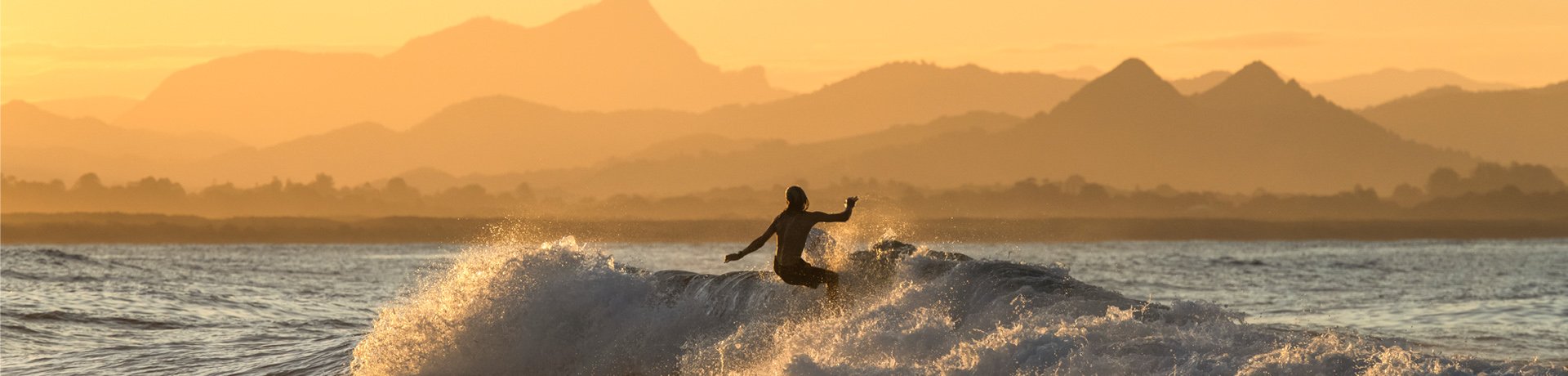 Surfer