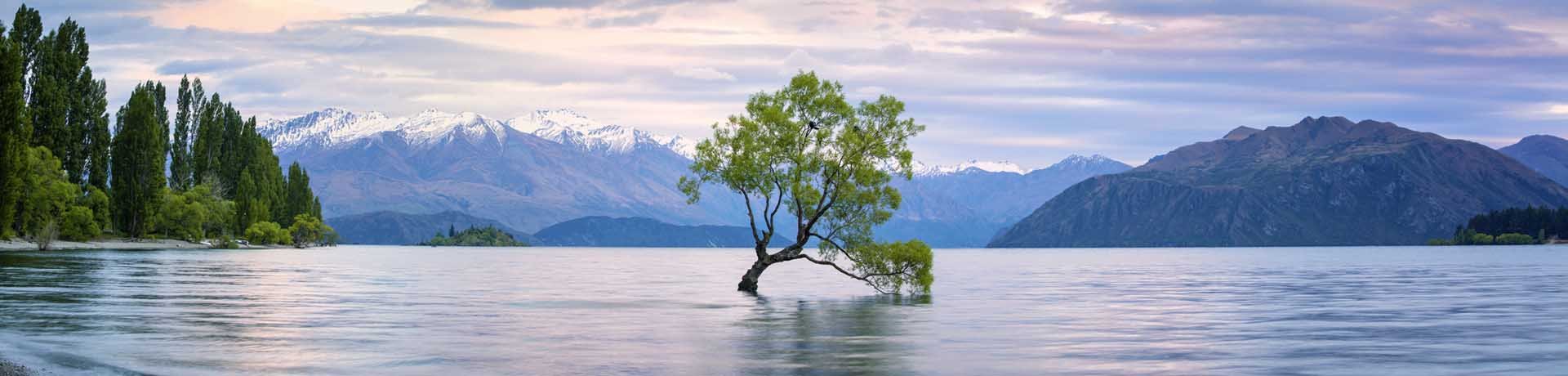 Lake Wanaka