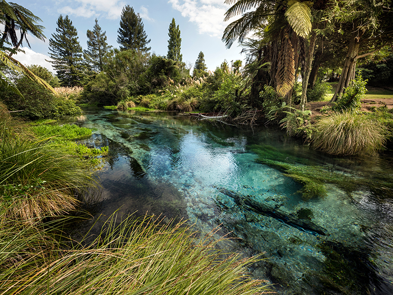 Hamurana springs