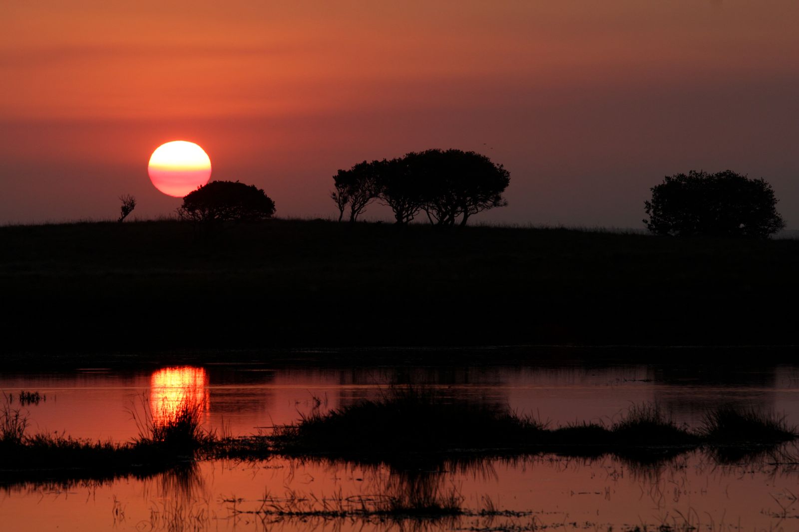 The iSimangaliso Wetland in reflective sunset